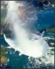Niagara Falls Tours