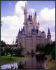 Orlando Tours